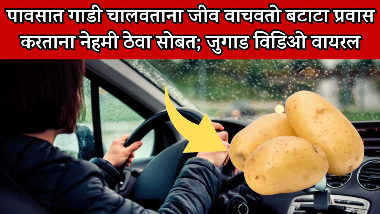 Viral Potato Jugaad Video